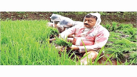 आमदार भास्कर जाधव