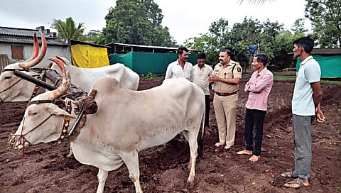 नाशिक : पोलिस अधीक्षकांच्या भेटीने शेतकरी सुखावला