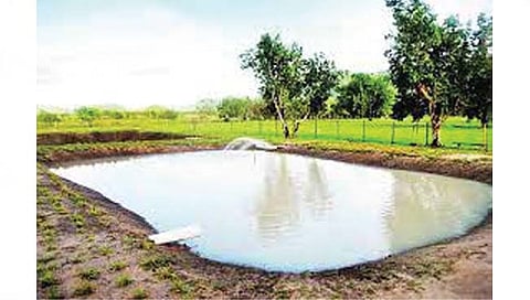 सोलापूर : शेततळ्याला मिळणार आता 75 हजार रुपयांचे अनुदान