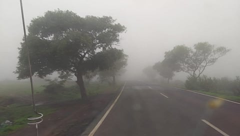 सप्तशृंगी घाटात : काय ती झाडी, काय तो डोंगर, काय ते धुके….