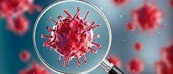 सानुग्रह अनुदान कधी मिळणार; कोरोनातील मृतांच्या नातेवाइकांचा सवाल