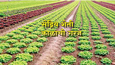 सेंद्रिय शेती काळाची गरज