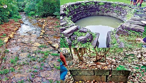 पन्हाळगड, विशाळगड इतिहासावर सखोल संशोधनाची गरज