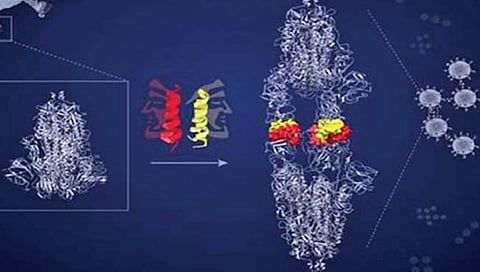 कोरोनाची क्षमता कमी करण्याबाबत नवे संशोधन
