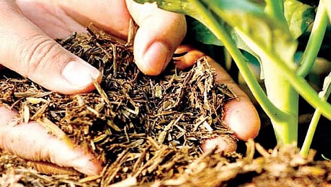 सेंद्रिय खतांचे महत्त्व