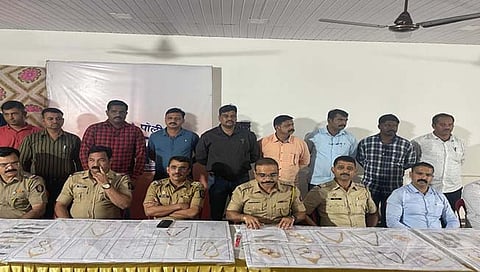 सोनेचोरी