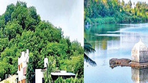 काय डोंगर… काय झाडी; पर्यटन ओकेमध्ये हाय!