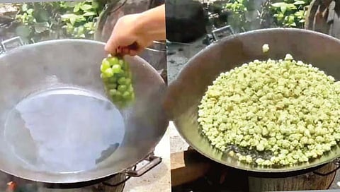 द्राक्षे