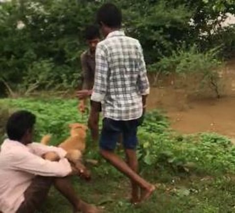 माणूसकीला काळीमा