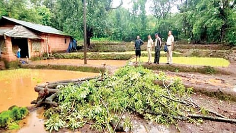 रत्नागिरी : पुतण्याच्या प्रसंगावधानाने वाचले काकाचे प्राण