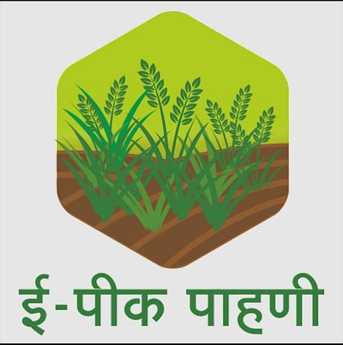 ई-पीक पाहणीत 25 लाख हेक्टरची नोंद; राज्यात औरंगाबाद विभागात सर्वाधिक ई-पीक पाहणी