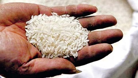 आता तांदळाच्या निर्यातीवर निर्बंध?