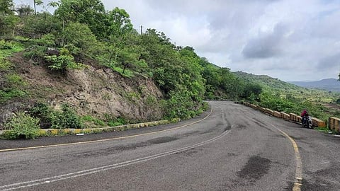 श्री क्षेत्र भंडारा डोंगर परिसर हिरवाईने बहरला