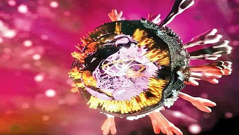 इबोलाच्या कुळातून आला खतरनाक मारबर्ग विषाणू