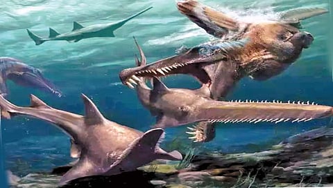 मोरोक्कोमध्ये ‘सागरी दैत्या’चे जीवाश्म