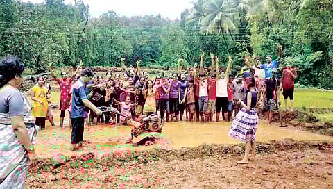 रत्नागिरी : शेतीच्या बांधावर भरली शाळा