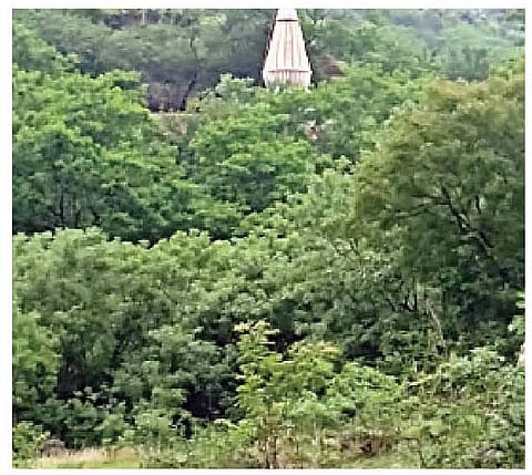 बांगरवाडीचा परिसर शहरी पर्यटकांना आकर्षित करीत आहे.