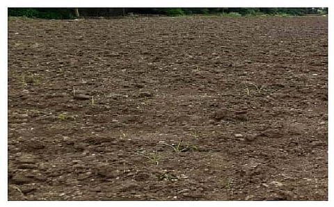 सातगाव पठार (ता. आंबेगाव) भागातील शेतकरी पावसाच्या प्रतीक्षेत आहेत.