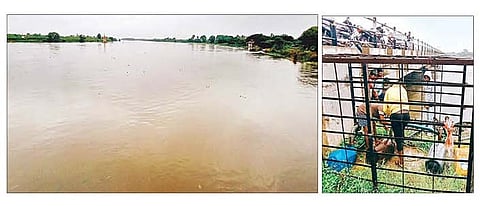 ‘भीमे’च्या पाणीपातळीत झपाट्याने वाढ