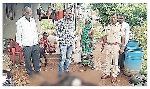 पाथर्डी : केळवंडी येथे बिबट्याने ठार केलेल्या मृत शेळ्यांचा पंचनामा करताना वन विभागाचे कर्मचारी. (छाया : अमोल कांकरिया)