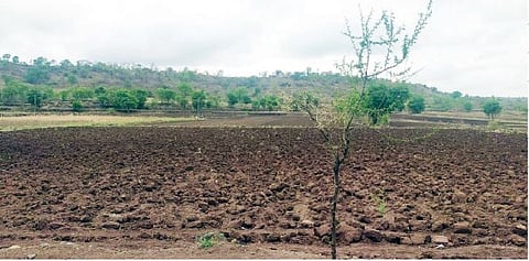 ढेकळेही फुटली नाहीत, पेरण्या कधी ?