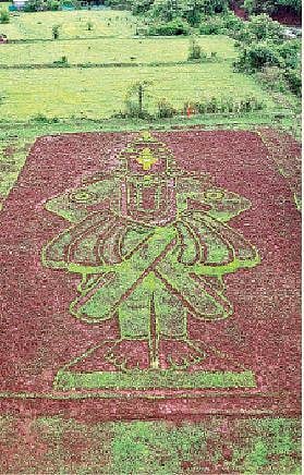 शेतात साकारला 120 फुटी विठ्ठल; वातुंडे गावातील शिंदे दाम्पत्याची अनोखी भक्ती