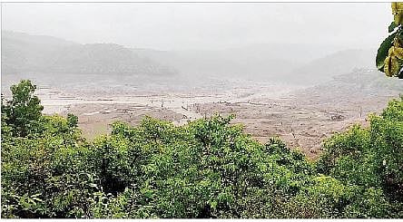 निरा देवघर, भाटघर धरण भागात रिमझिम; भात तरवे तरारले, शेतकरी समाधानी