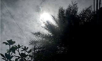 अखेर दहा दिवसांनंतर सूर्यदर्शन; आता 21 जुलैपर्यंत हलक्या सरींचा अंदाज