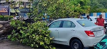 पुणे : धावत्या गाडीवर कोसळले झाड