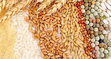 पुणे : मिरची, शेंगदाणा, मिलबर गहू, रवा, मैद्याच्या दरात वाढ