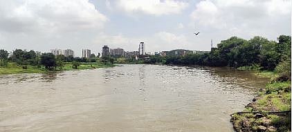 ‘इंद्रायणी’ने घेतला मोकळा श्वास; मोशीतील नदीपात्र जलपर्णी मुक्त