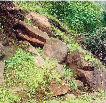 पावसामुळे
करंजावणे-शिवापूर
रस्त्याच्या कुसगाव खिंडीत दरडी कोसळण्याचा धोका निर्माण झाला आहे.
उन्मळून आलेल्या
दरडी.