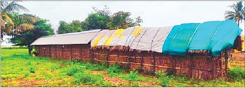 मंचर : कांदा अजून बराखीतच, शेतकरी चिंतेत