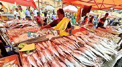 पुणे : मासळी, मटण, चिकन, अंड्यांचे दर स्थिर