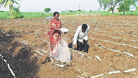 इंदापूर तालुक्यात ऊस लागवडीस वेग
