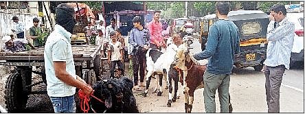 आषाढी एकादशी दिवशी ‘कुर्बानी’ नाही; मुस्लिम समाजाचा निर्णय