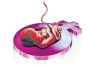 वैद्यकीय मंडळाच्या कार्यकक्षेत सुधारणा; आरोग्य विभागाची मान्यता