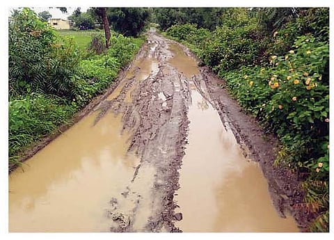 दहिगावने : येथील घेवरी दोन नंबर लिफ्ट या रस्त्याची पावसाने झालेली दुरवस्था.(छाया : बाळासाहेब पानकर)