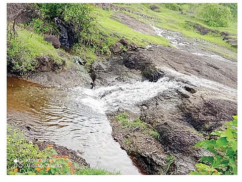 पर्यटकांना आकर्षित करणारे खबडी परिसरातील धबधबे व निसर्गसौंदर्य. (छाया : सुरेश भुजबळ)