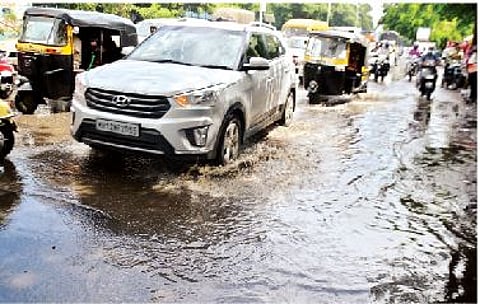 पुण्यात दहा ठिकाणी पडली झाडे, वाड्याची भिंत कोसळली