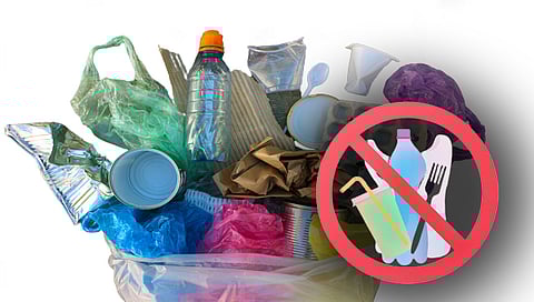 Plastic Ban in Maharashtra : प्लॅस्टिकचा लेप असलेल्या उत्पादनांवर राज्यात बंदी