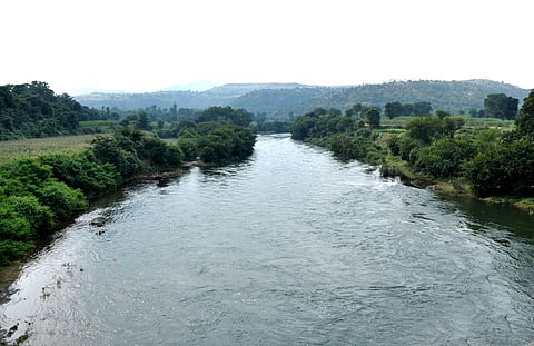संगमनेर : यंदा प्रथमच दुथडी वाहतेय प्रवरामाई!