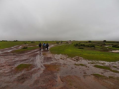 पुणे : शिवप्रेमींची पावसाळ्यातही दुर्गभमंतीला पसंती