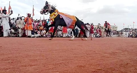 इंदापूर : लाखो नेत्रांनी अनुभवला इंदापूरातील गोल रिंगण सोहळा