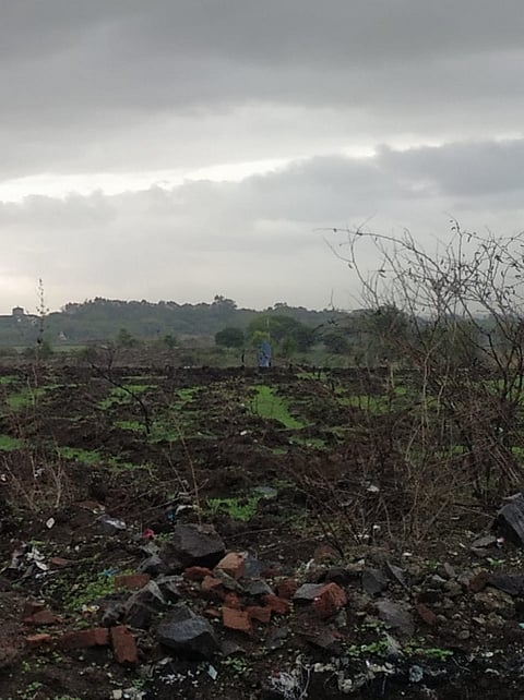 मावळात जोरदार पावसाची प्रतिक्षा