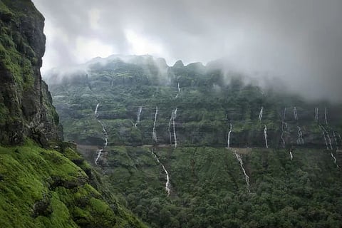 माळशेज घाटात धुक्याची दाटी