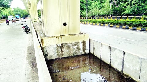 पिंपरी : दुभाजकामध्ये पाणी साचून डास उत्पत्ती?