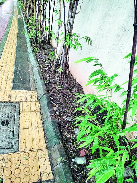 पिंपळे गुरव : जिजामाता उद्यानासमोर पदपथालगत दारूच्या बाटल्या