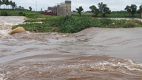 चिकोडी तालुक्यातील ६ बंधारे पाण्याखाली