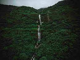 ताम्हिणी अभयारण्य क्षेत्रात पर्यटनास बंदी